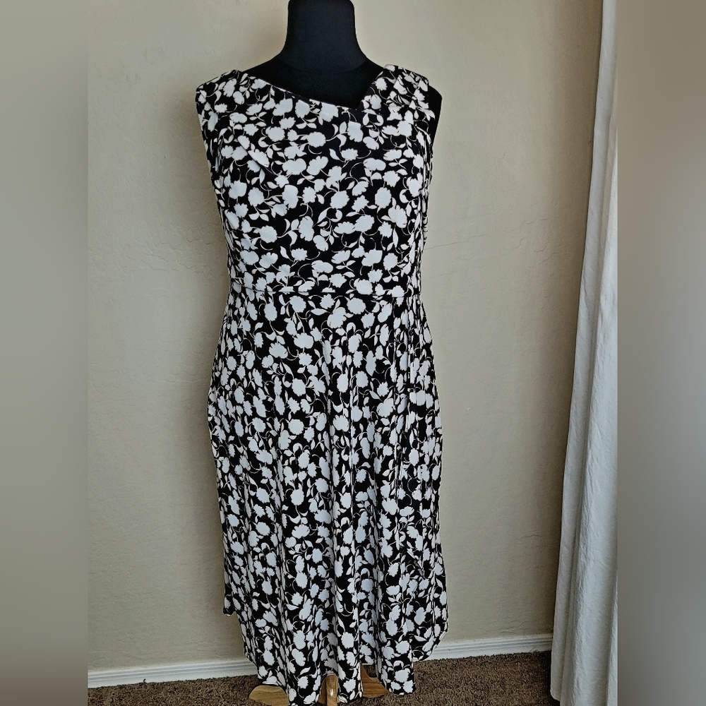 Adrianna Papell Fit and Flare Dress